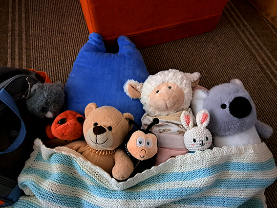 Impress. Kuscheltierübernachtung