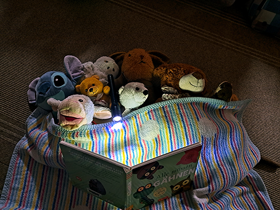 Impress. Kuscheltierübernachtung