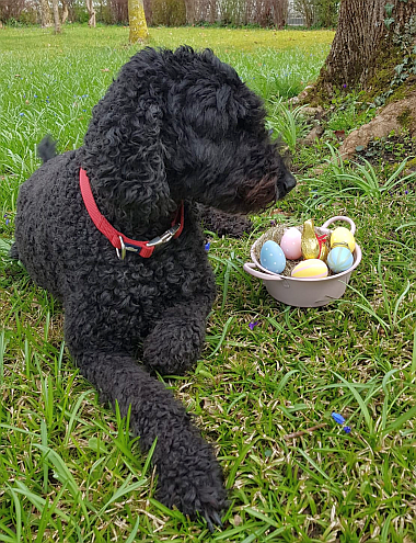 2026-04-03-Fanny_BILD2_380