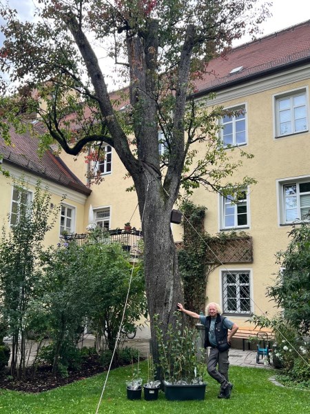 Birnbaum
