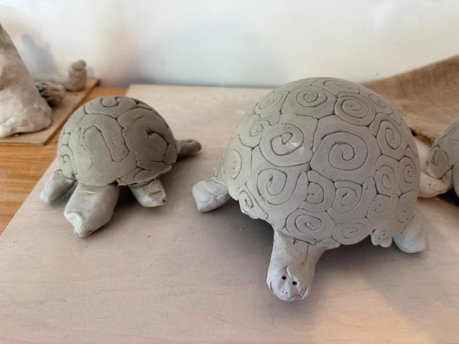 Schildkröte