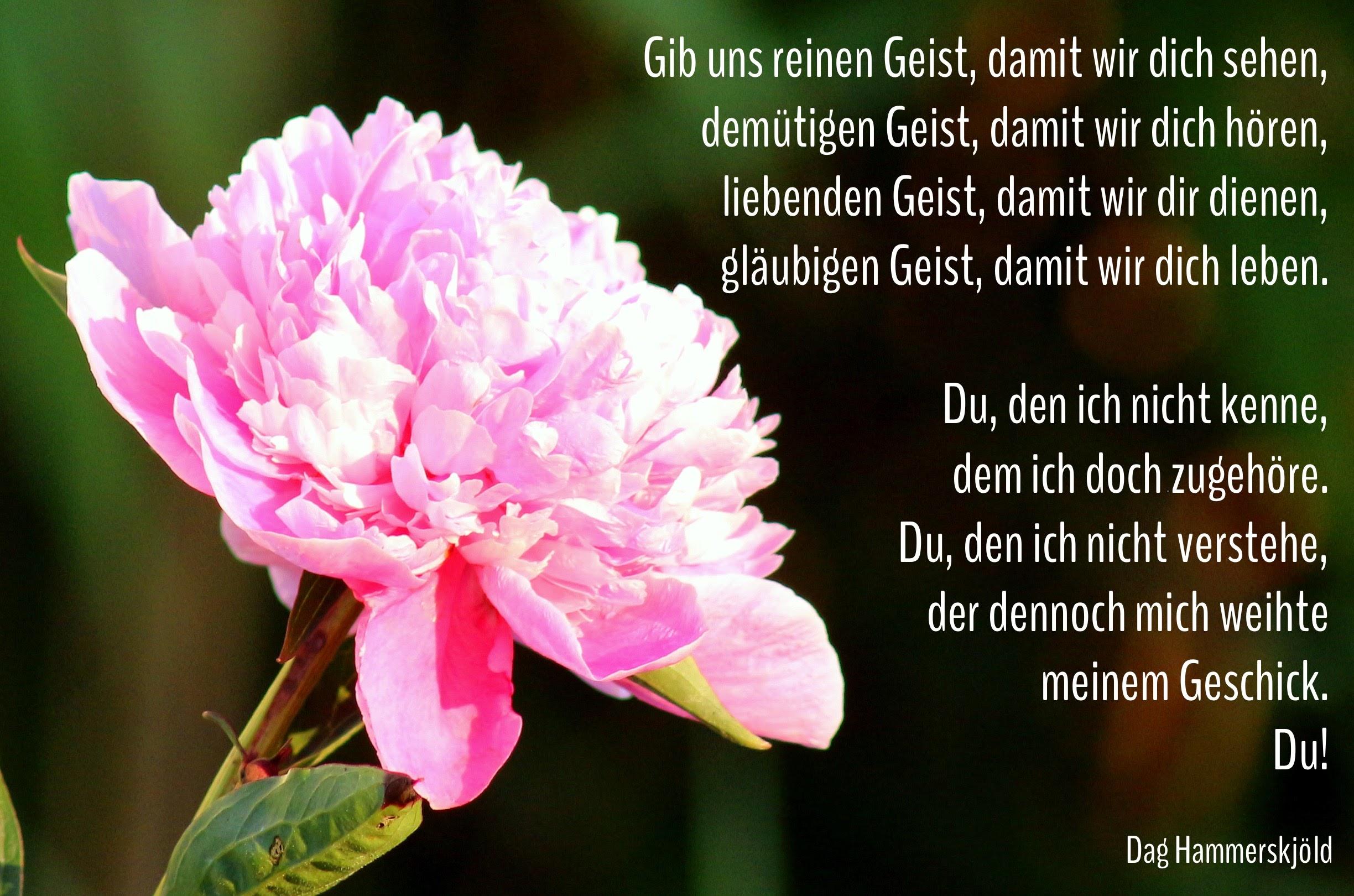 Pfingsten26