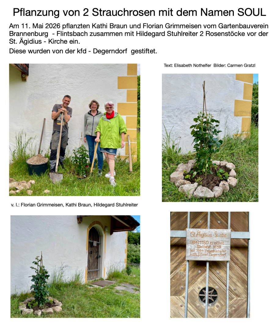 St. Ägidius Rosen