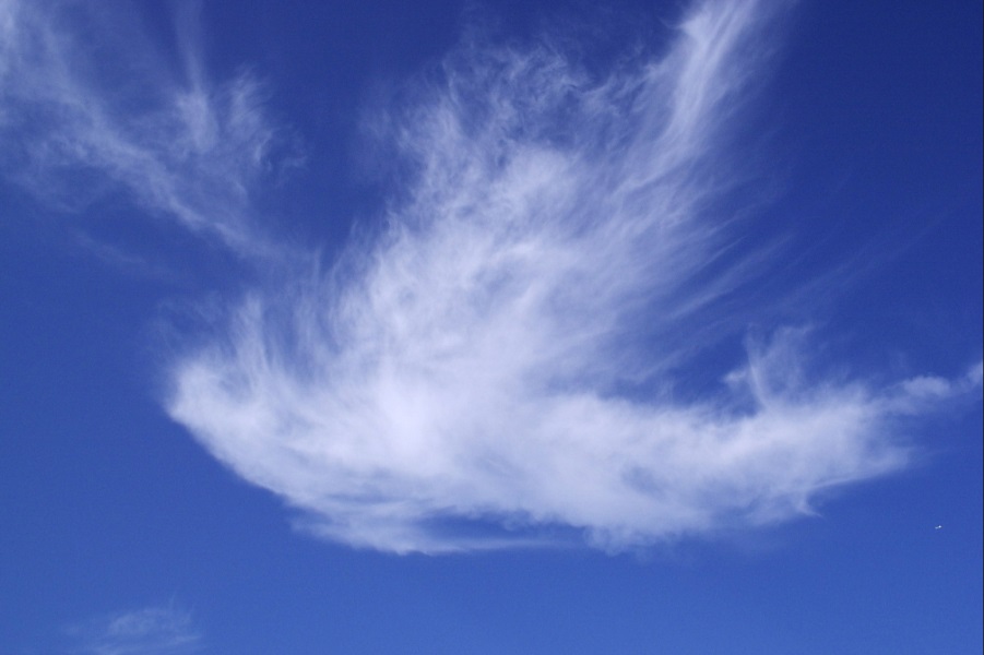 Wolkenbild Taube