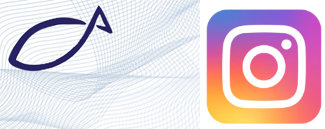 Netzwerk and Instagram