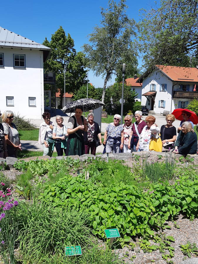 Kräutergarten 2026 Foto zum Bericht