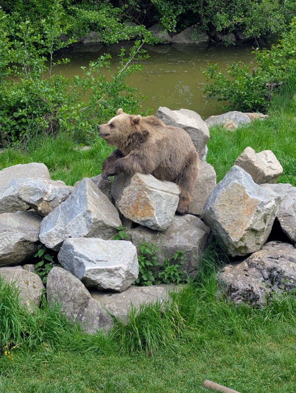 Wildpark