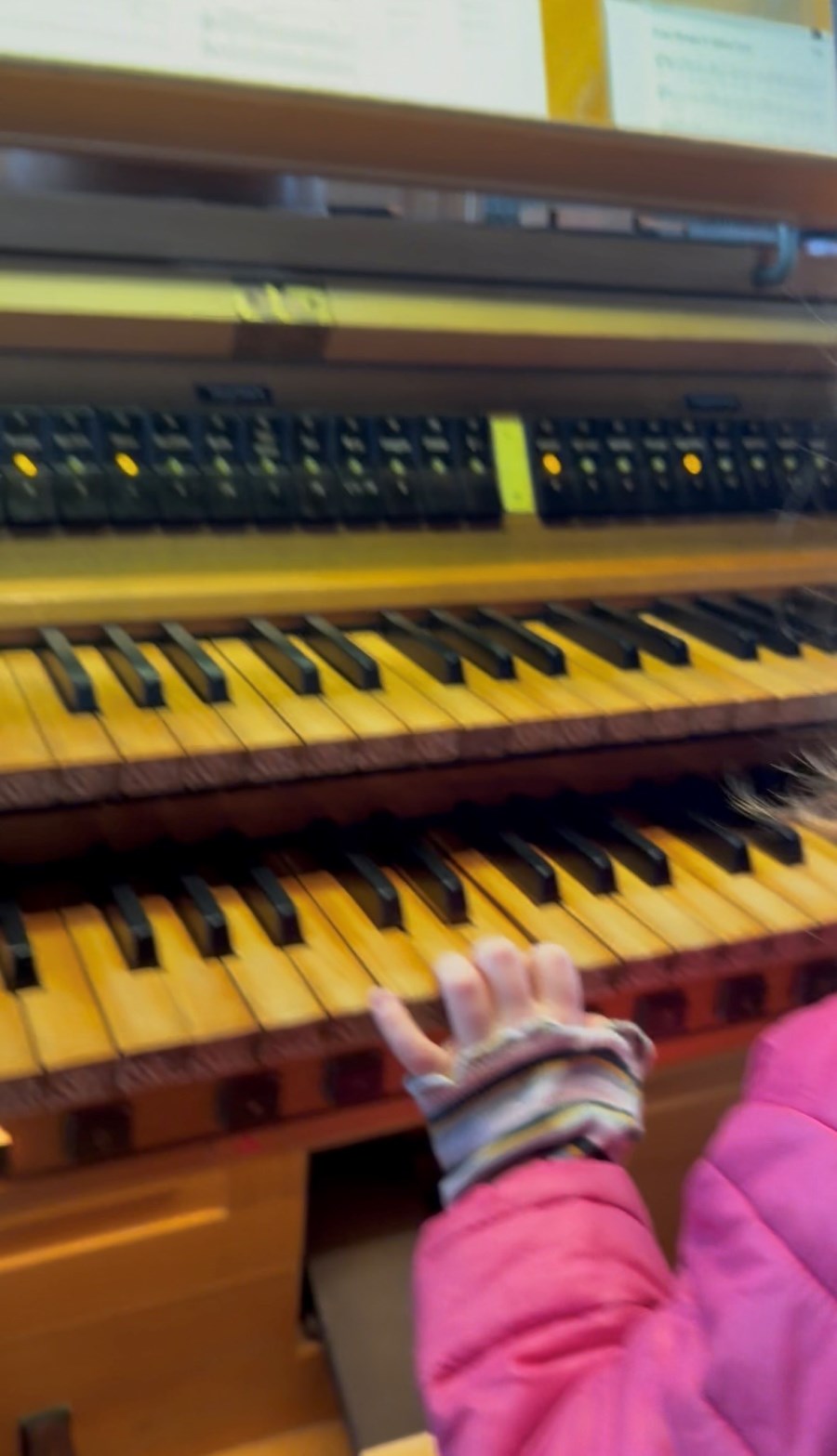 Orgel