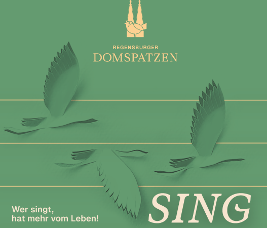 2026 Plakat_Domspatzen