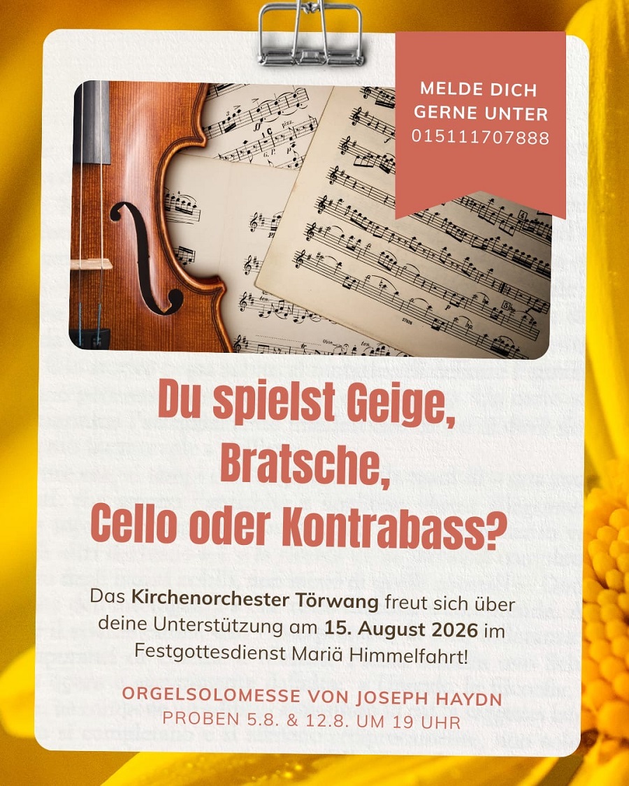 Plakat Samerberg Musiker gesucht