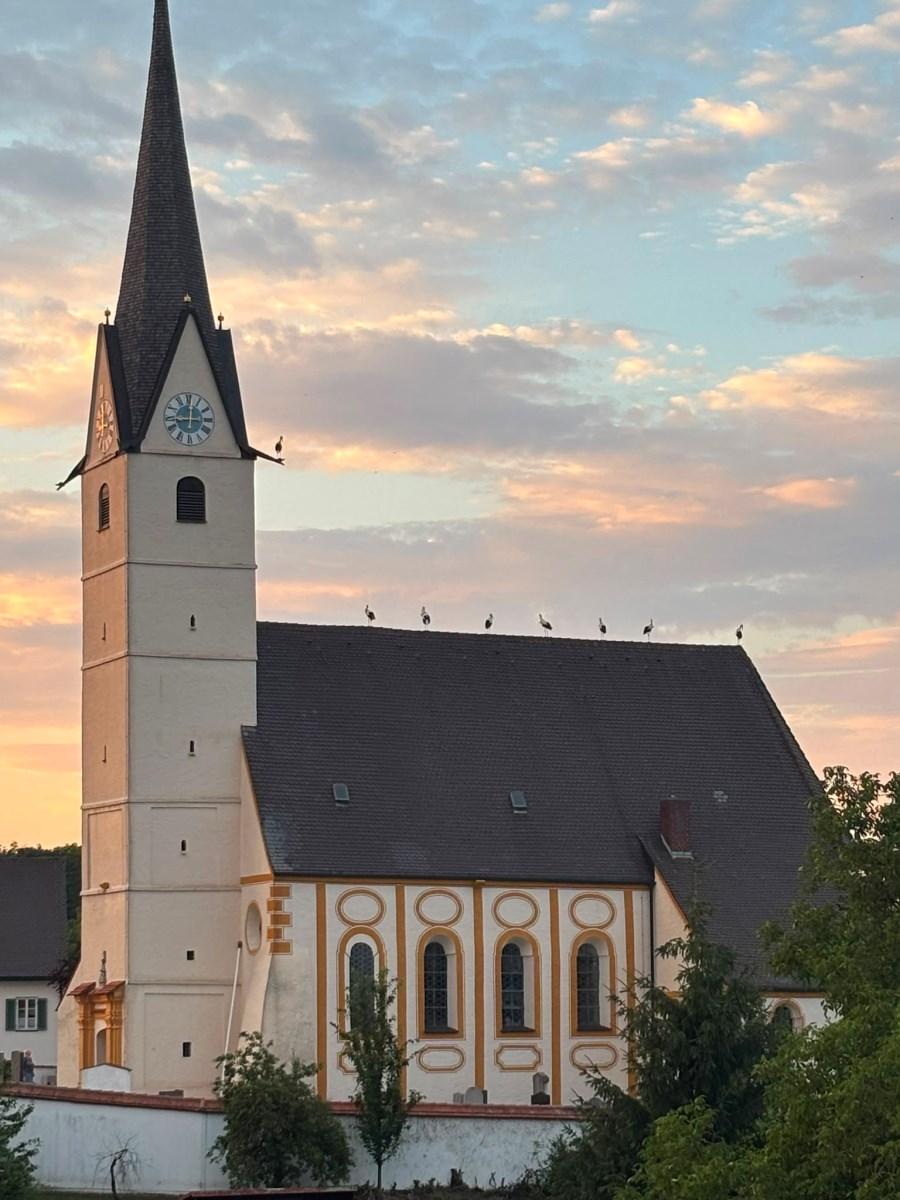 Ma_Störche auf der Kirche