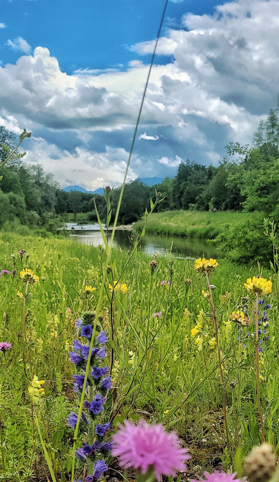 Mangfall im Sommer