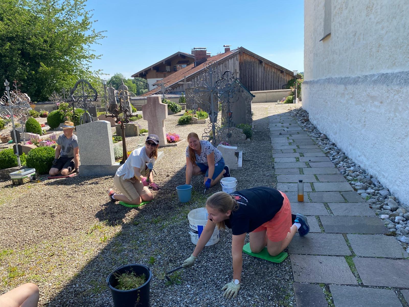 Friedhof grasen
