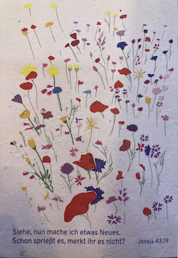 2026-07-12-Blumenkarte-250