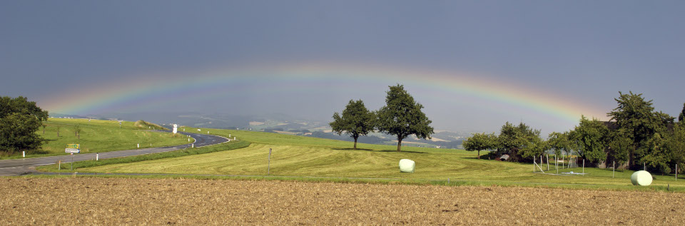 Regenbogen über einer grünen Wiese mit Bäumen und Feldern bei bewölktem Himmel