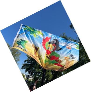 Piratenfahne Sommerfest