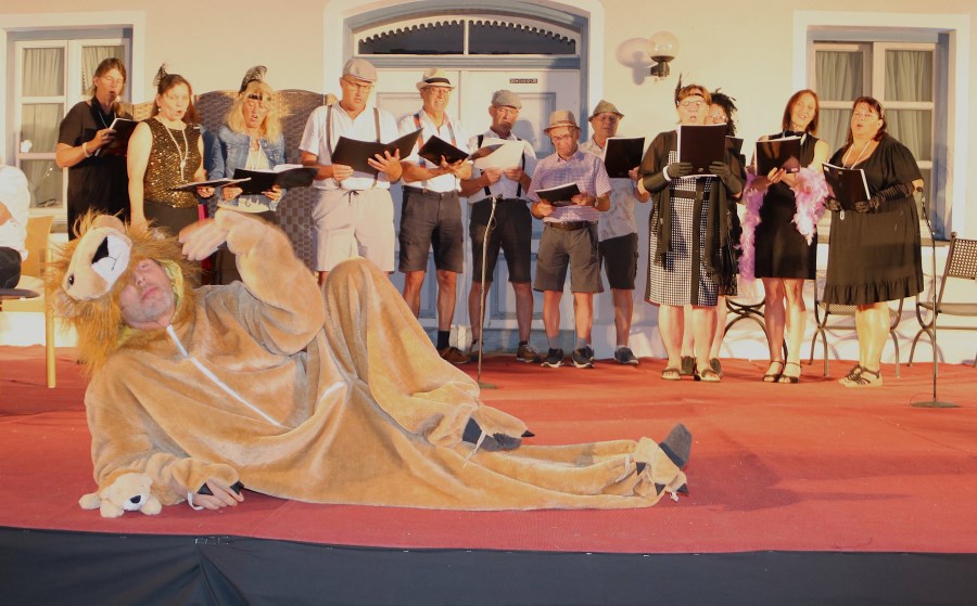 Musikgruppe Schanagl