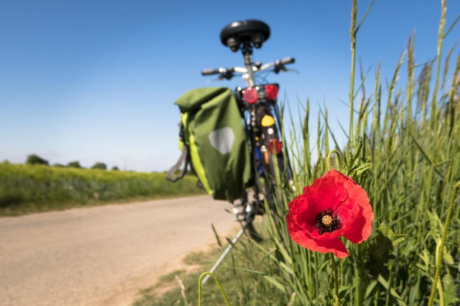 Fahrrad