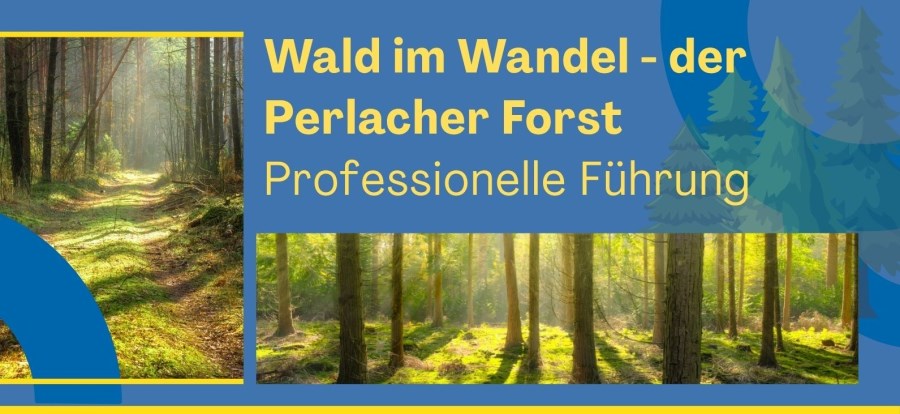 Website Bild