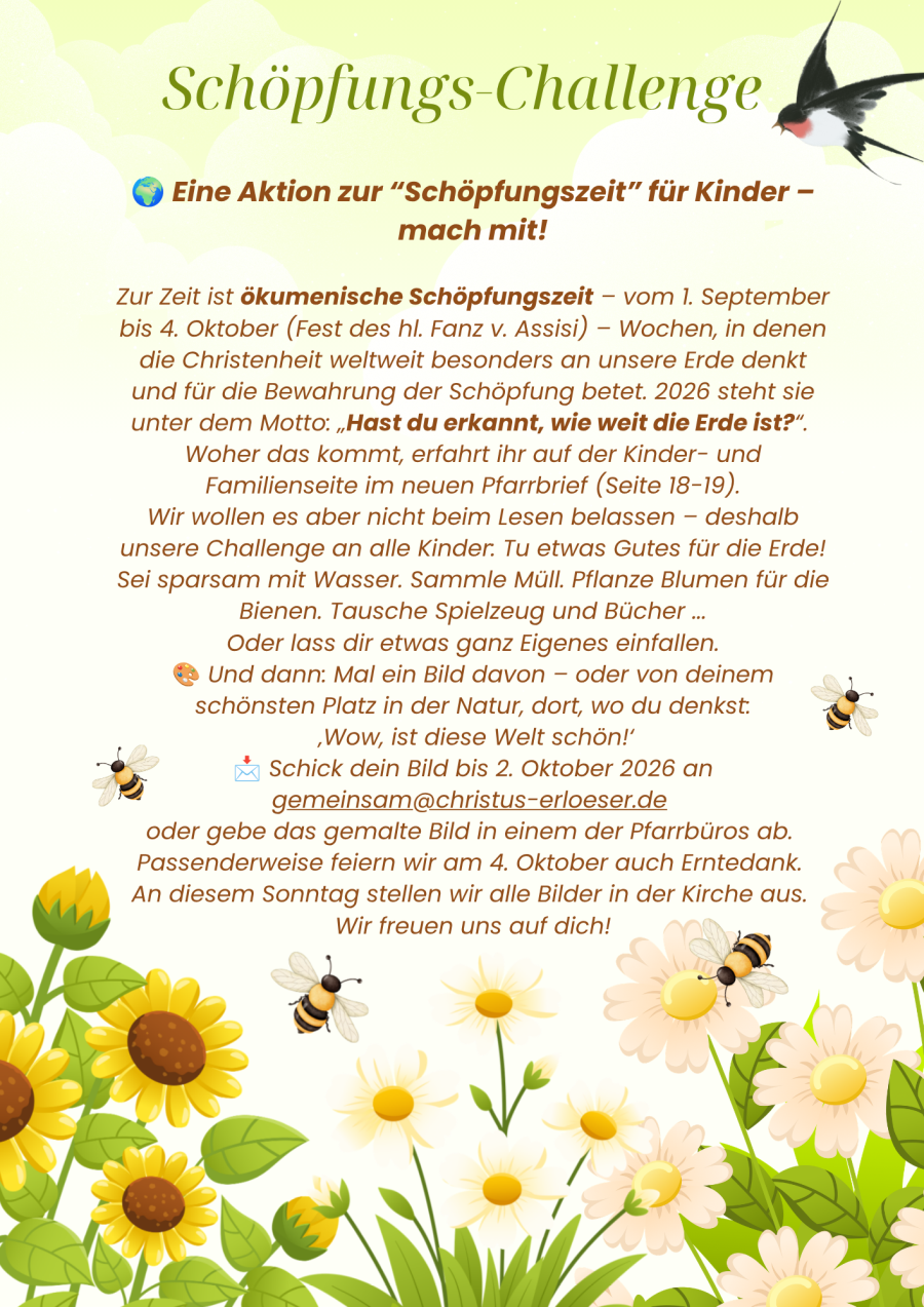 Flyer für "Schöpfungs-Challenge"