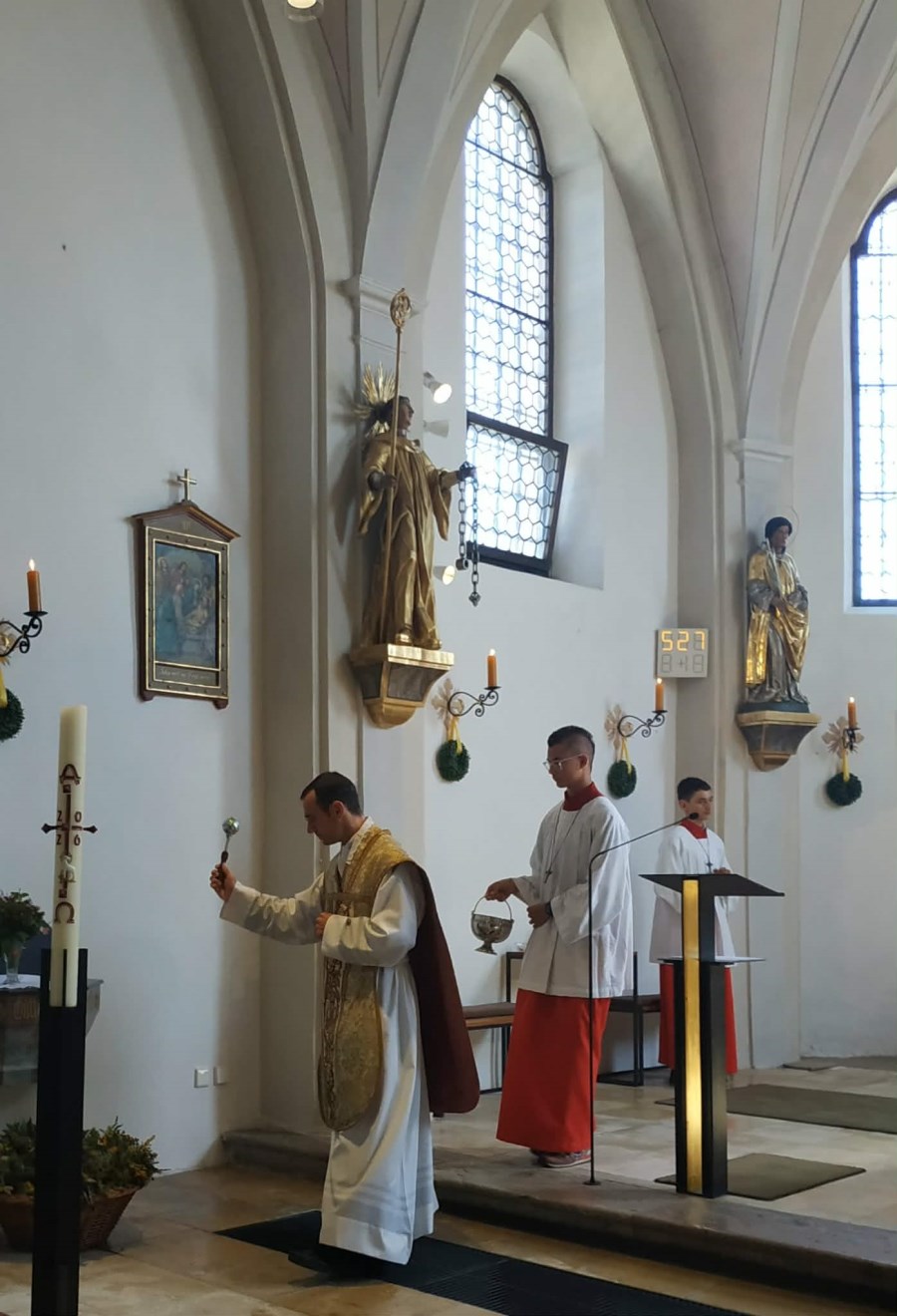 Weihe Kräuterbüsche