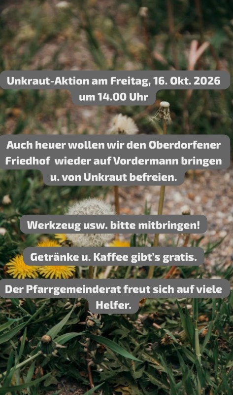 Plakat Unkraut-Friedhof
