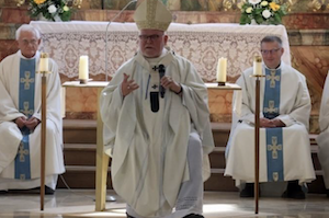 300 Jahre Maria Himmelfahrt Schönau 1