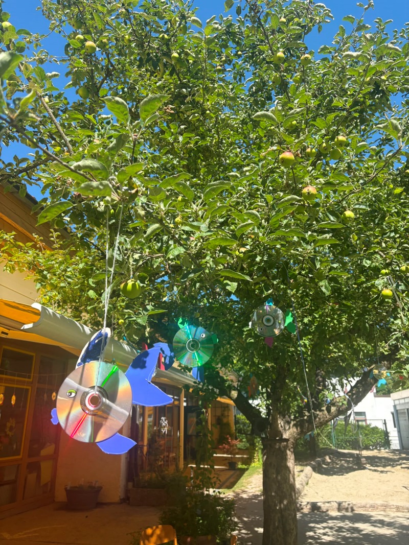 Aus alten CDs gebastelte Glitzerfische blinken in einem Baum