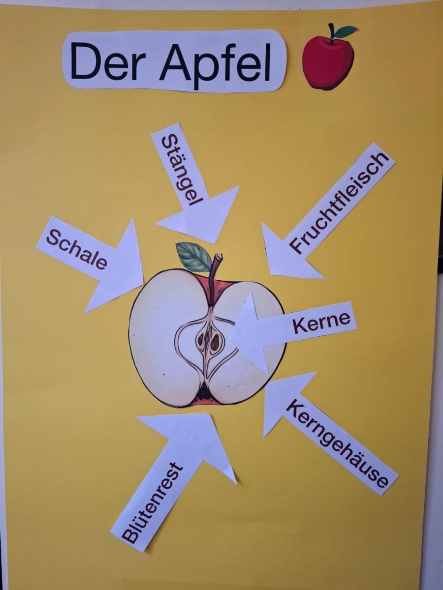 Apfelbeschreibung