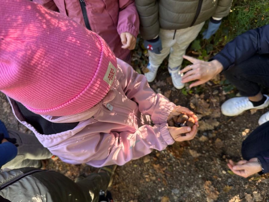 Kind mit Eicheln in der Hand