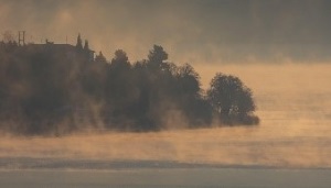 Nebel