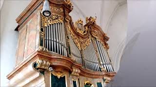 Platzhalter-Bild fuer YouTube-Video