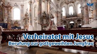 Platzhalter-Bild fuer YouTube-Video