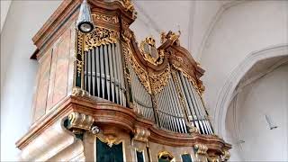 Platzhalter-Bild fuer YouTube-Video