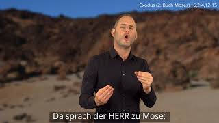 Platzhalter-Bild fuer YouTube-Video