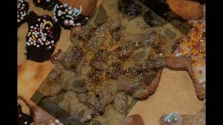 Platzhalter-Bild fuer YouTube-Video