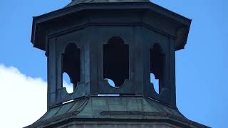 Platzhalter-Bild fuer YouTube-Video