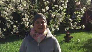 Platzhalter-Bild fuer YouTube-Video