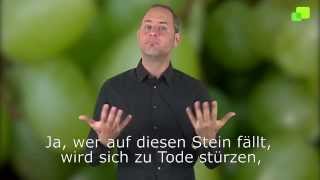 Platzhalter-Bild fuer YouTube-Video