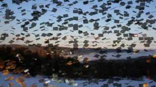 Platzhalter-Bild fuer YouTube-Video