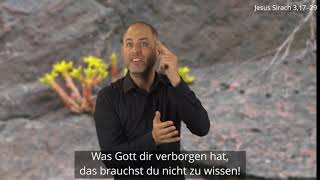 Platzhalter-Bild fuer YouTube-Video