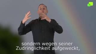 Platzhalter-Bild fuer YouTube-Video