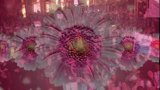 Platzhalter-Bild fuer YouTube-Video