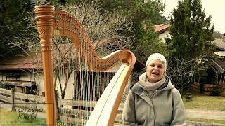 Platzhalter-Bild fuer YouTube-Video