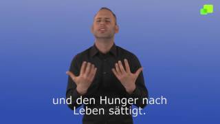 Platzhalter-Bild fuer YouTube-Video