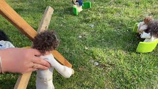 Platzhalter-Bild fuer YouTube-Video