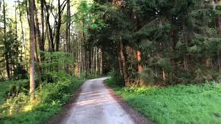 Platzhalter-Bild fuer YouTube-Video