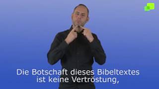 Platzhalter-Bild fuer YouTube-Video
