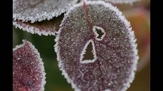 Platzhalter-Bild fuer YouTube-Video