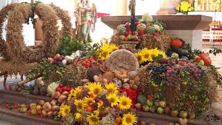 Platzhalter-Bild fuer YouTube-Video